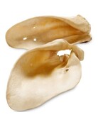 OpenRange Open range oreilles de vache large (35)