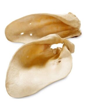 OpenRange Open range oreilles de vache large (35)