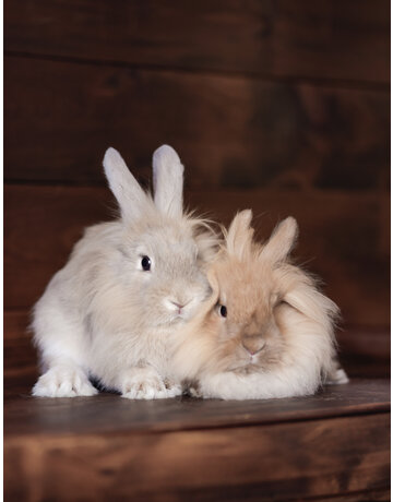 LIMETTE & POMETTE (F)