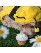 Bosco & Roxy's Bosco and Roxy's  cupcake fleur