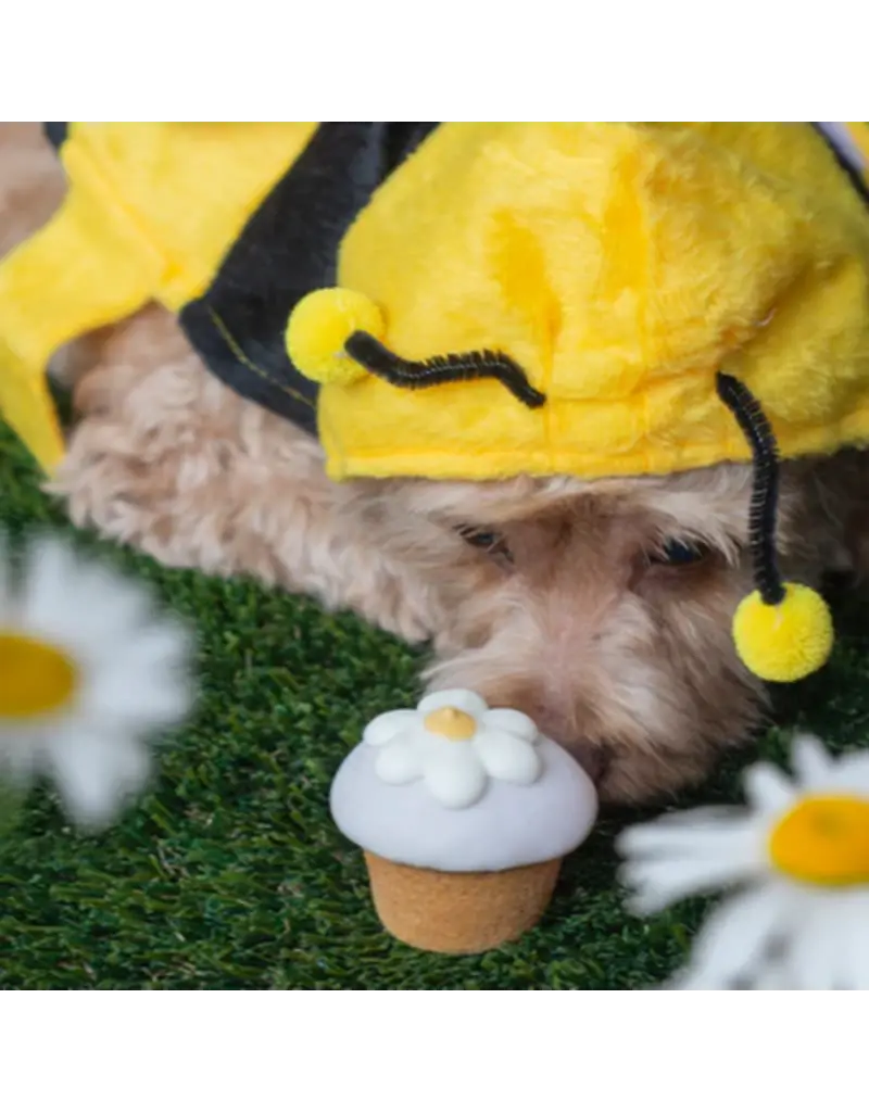 Bosco & Roxy's Bosco and Roxy's  cupcake fleur