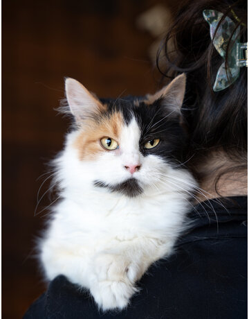 ÉLÉONORE