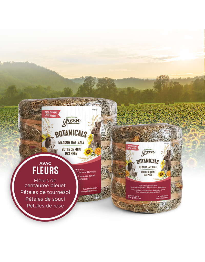 Living World Living world Green Botte de foin avec fleurs