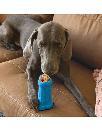 Kong Kong Treatster