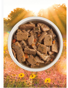 Acana Acana chien pâté recette à l'agneau avec bouillon d'os 363g (12)