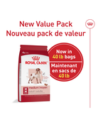 Royal Canin Royal Canin adulte chien moyenne race 40 lb