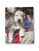 BEA Fondation BEA, calendrier de l'Avent pour chien