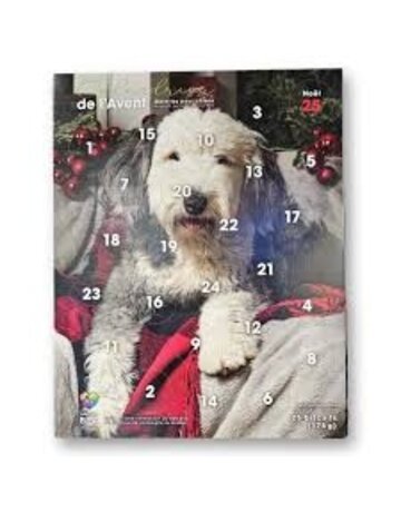 BEA Fondation BEA, calendrier de l'Avent pour chien
