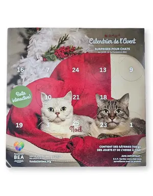BEA Fondation BEA, Calendrier de l'Avent pour chat