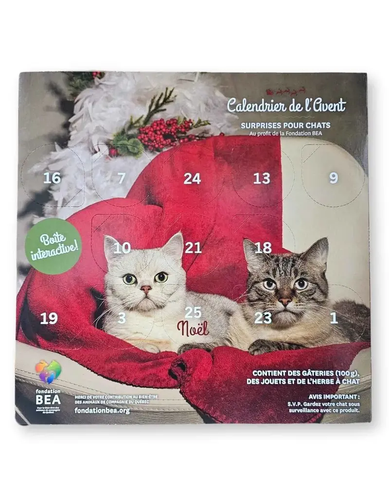 BEA Fondation BEA, Calendrier de l'Avent pour chat