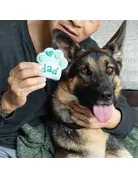 Bosco & Roxy's Bosco and Roxy's patte dad