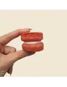 Bosco & Roxy's Bosco and Roxy's macaron à l'unité
