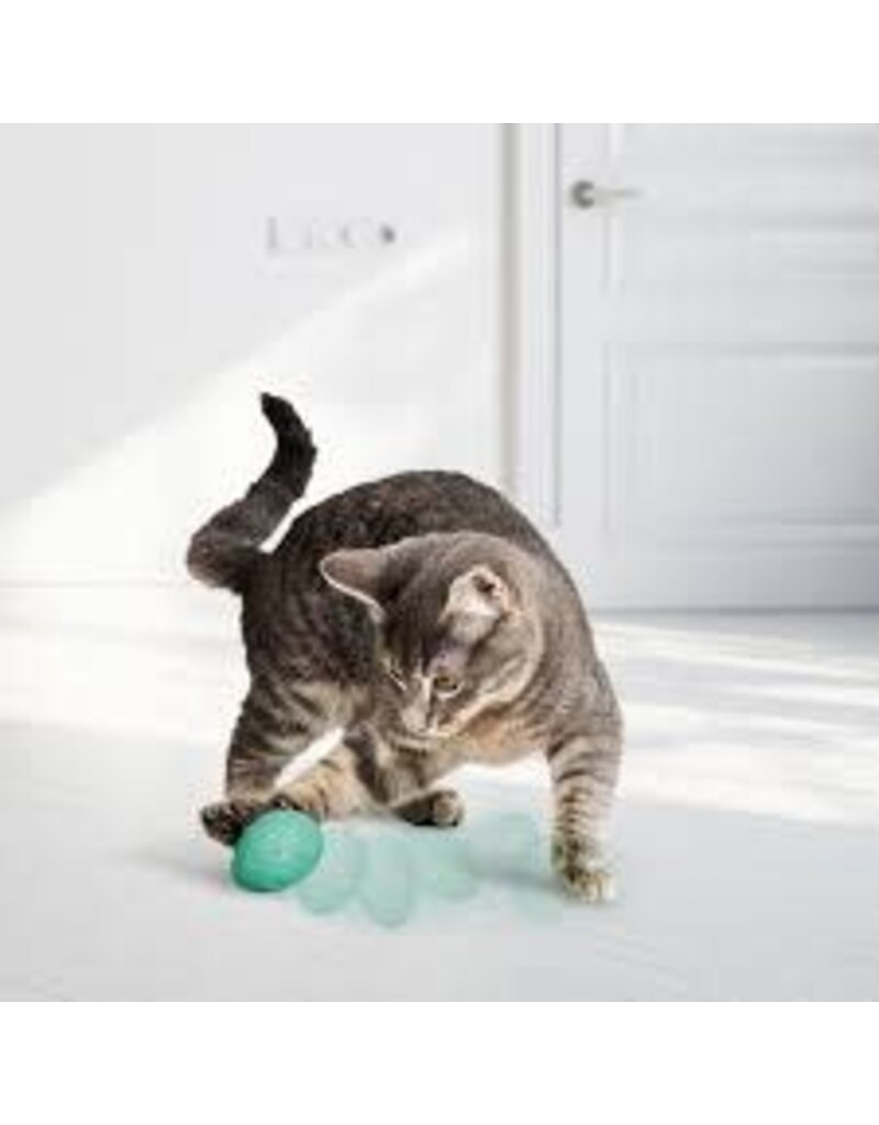 Kong kong jouet oeufs avec herbe à chat (2)