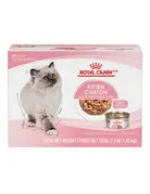 Royal Canin Royal Canin chaton conserve multipack 12x85g