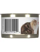 Royal Canin Royal Canin chat conserve âgé 12+ pâté 145g (24)