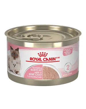 Royal Canin Royal Canin mère et bébé conserve mousse 145g (24)