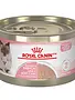 Royal Canin Royal Canin mère et bébé conserve mousse 145g (24)