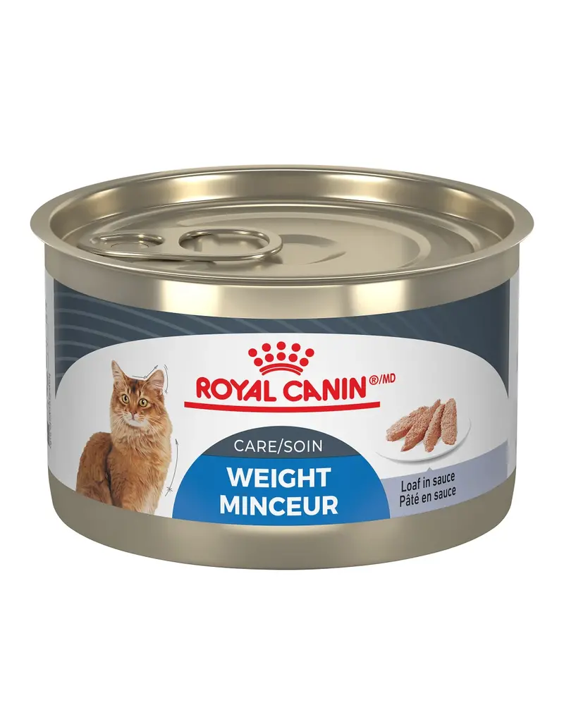 Royal Canin Royal Canin chat conserve soin minceur pâté 145g (24)