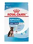 Royal Canin Royal Canin grand chien chiot 4lb -4-