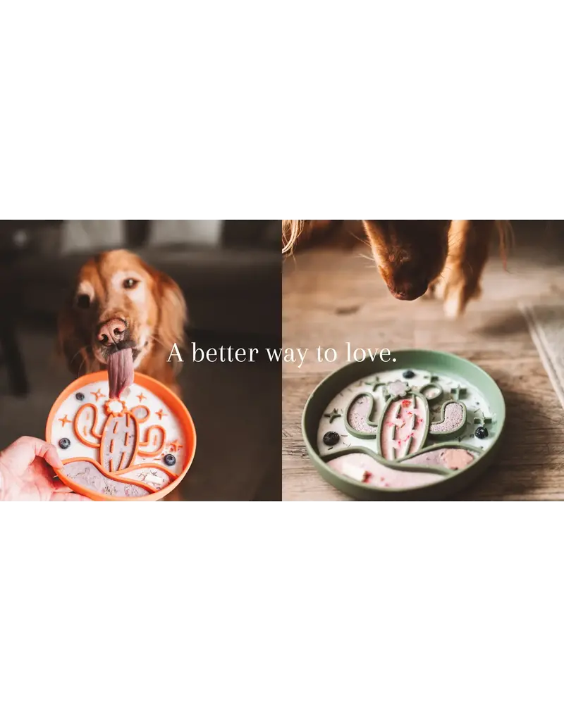 BARKS & brownies Barks & brownie bol ralentisseur cactus