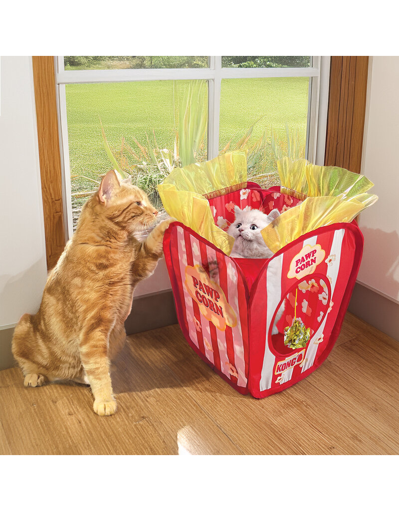 Kong Kong parc de jeu Pawpcorn