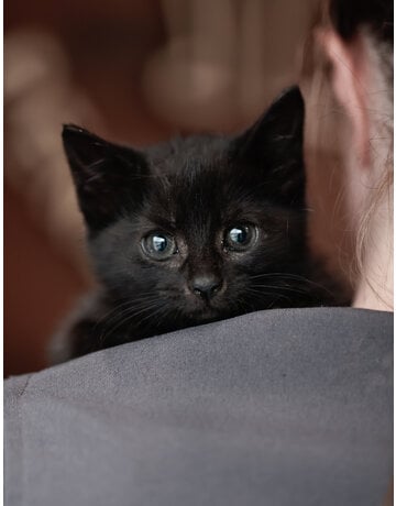 PAOLO
