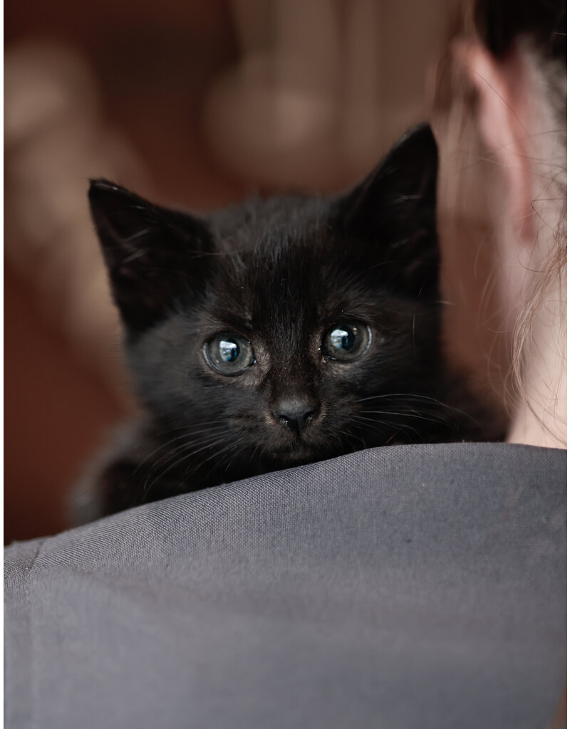 PAOLO