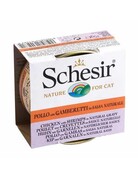 Schesir Scesir chat poulet et crevette 70g (14)