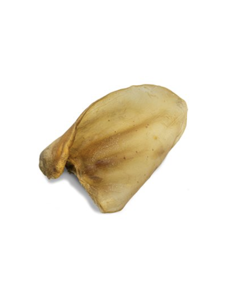 Bellerive WAWWAW oreille de boeuf (50)