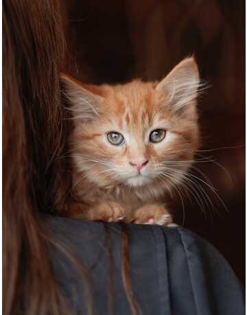 GINNY