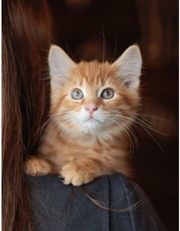 RON