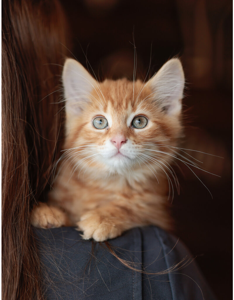 RON