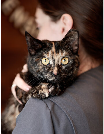 KALI