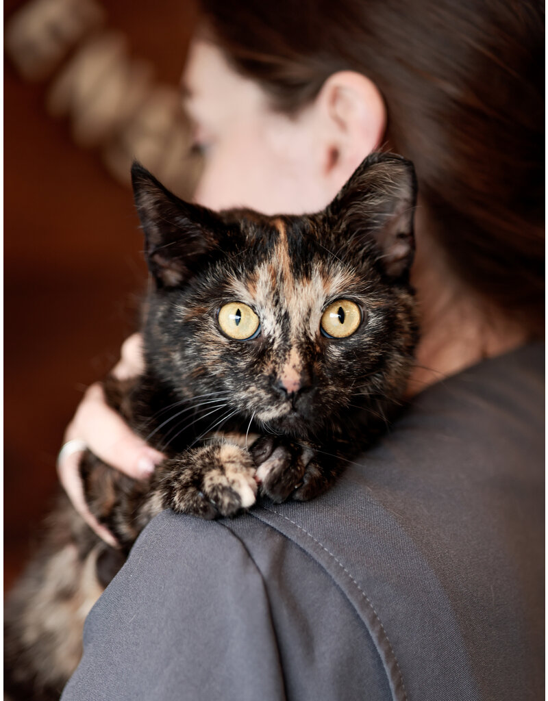 KALI