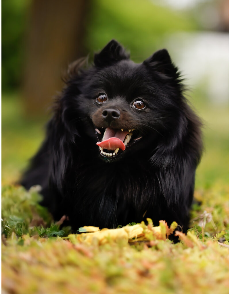 PACO