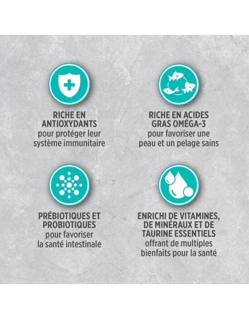 Nutrience Nutrience infusion chat d'intérieur 11lb