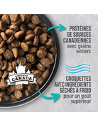 Nutrience Nutrience infusion chat d'intérieur 11lb