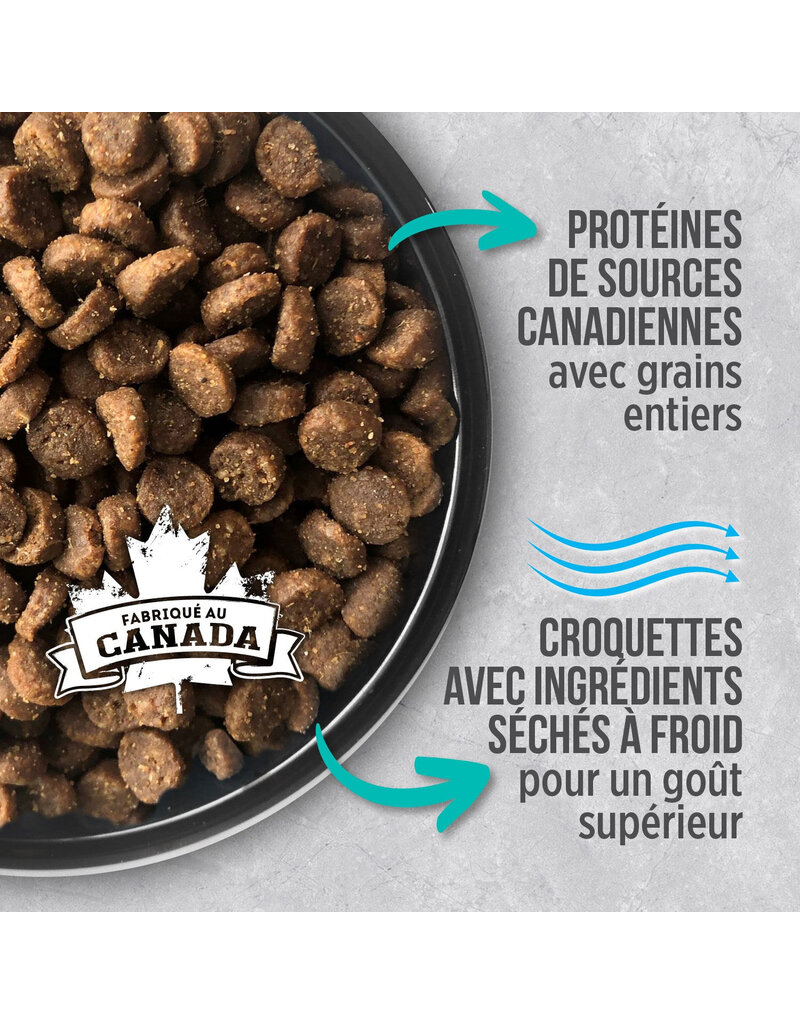 Nutrience Nutrience infusion chat d'intérieur 11lb