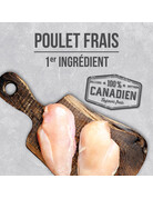 Nutrience Nutrience infusion chat d'intérieur 11lb