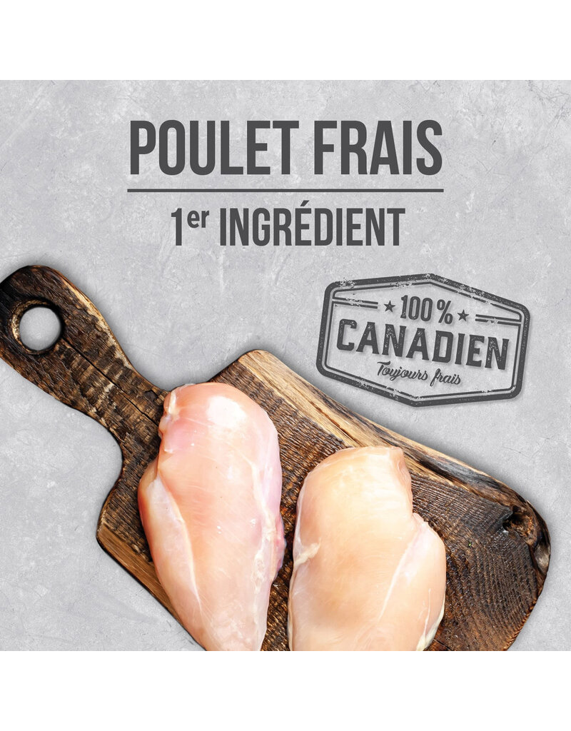 Nutrience Nutrience infusion chat d'intérieur 11lb