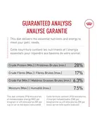 Royal Canin Royal Canin chat âgé 12ans+ 6 lb -4-