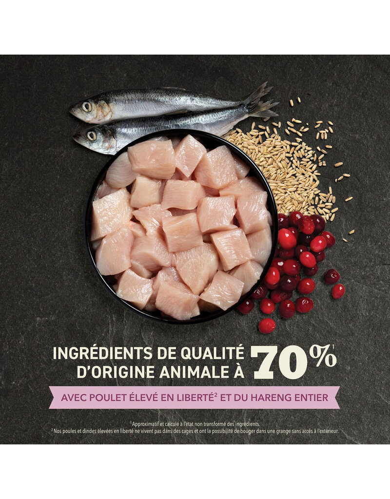 Acana Acana chaton premier festin 1.8kg