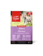 Orijen Orijen chaton