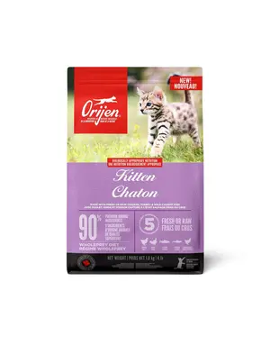 Orijen Orijen chaton