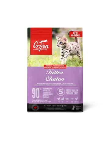 Orijen Orijen chaton