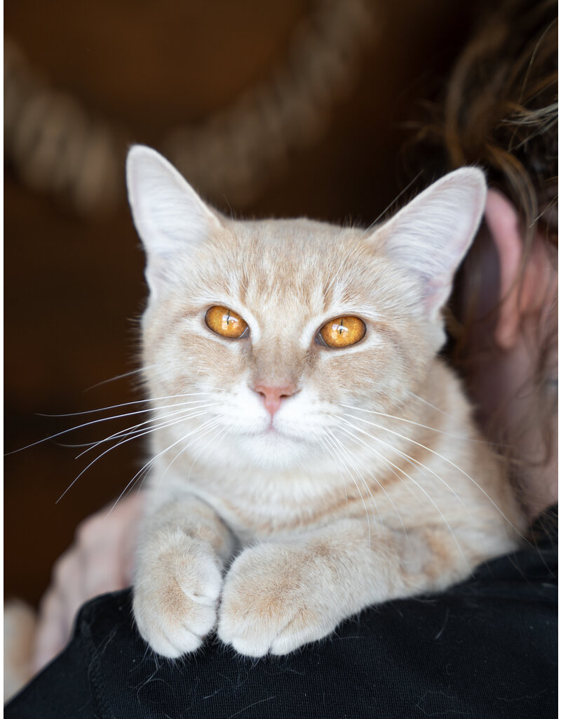 LUCIE
