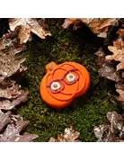 Bosco & Roxy's Copy of Bosco & Roxy's citrouille lunette (18)