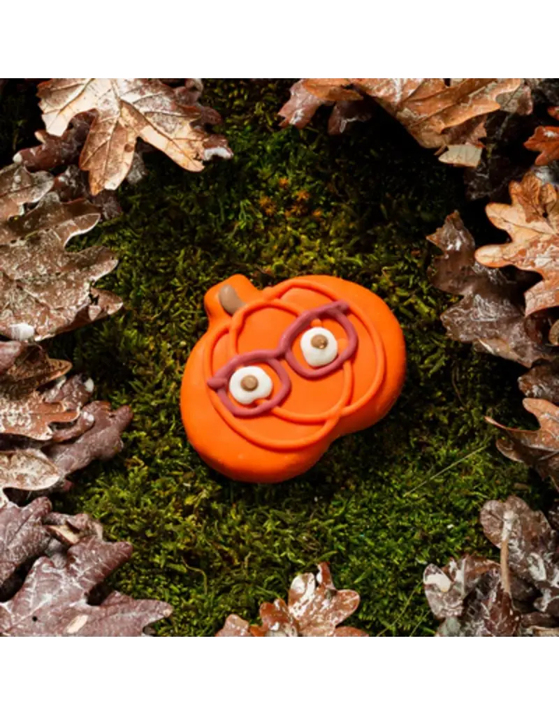 Bosco & Roxy's Copy of Bosco & Roxy's citrouille lunette (18)