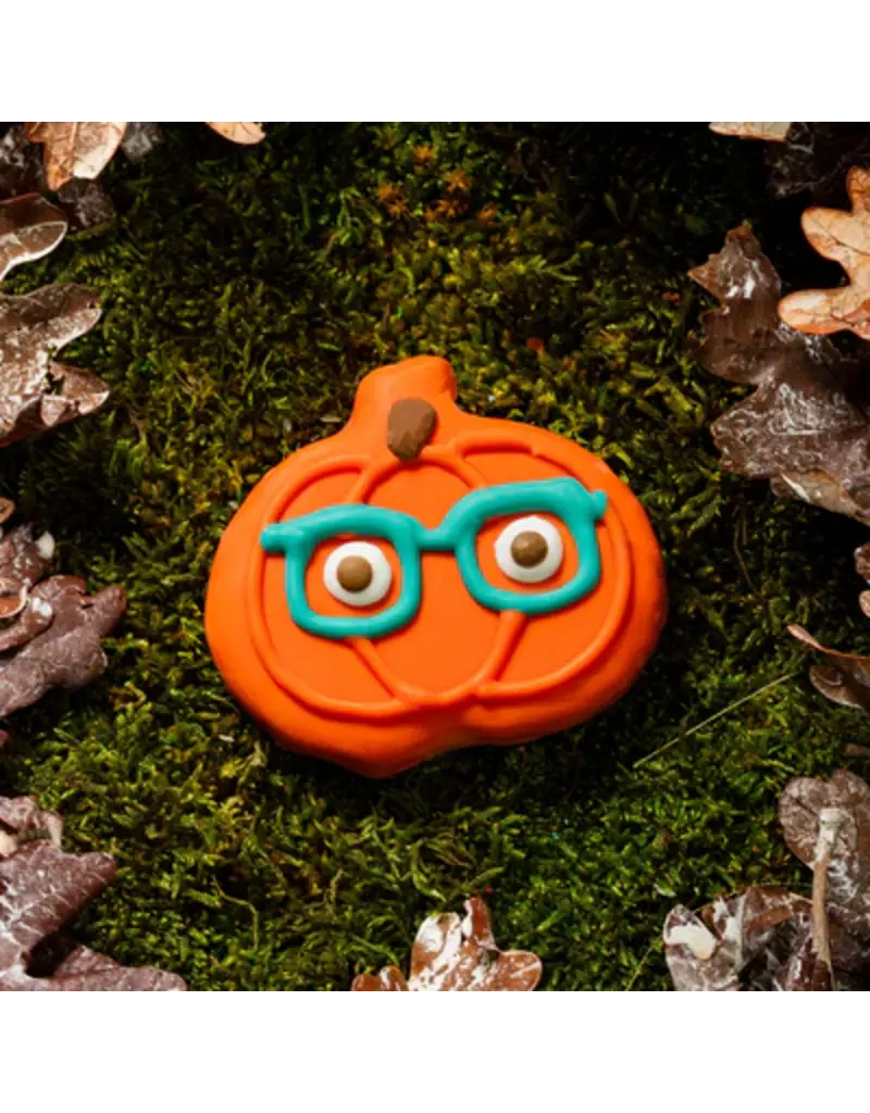 Bosco & Roxy's Copy of Bosco & Roxy's citrouille lunette (18)