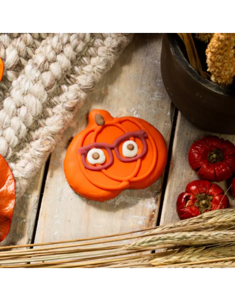 Bosco & Roxy's Copy of Bosco & Roxy's citrouille lunette (18)